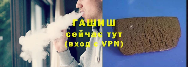 спиды Богородицк