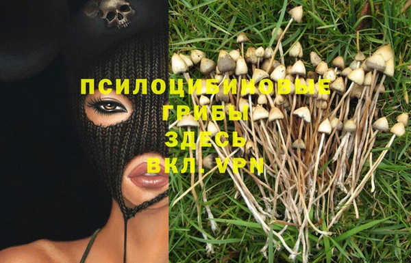 мдпв Майский