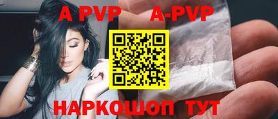 крисы Кингисепп