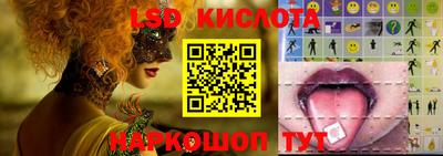 крисы Кингисепп