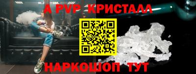 крисы Кингисепп