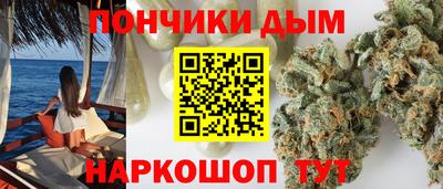 крисы Кингисепп