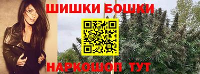 крисы Кингисепп