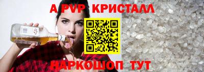 крисы Кингисепп